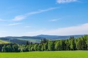 forest-7217087_1280