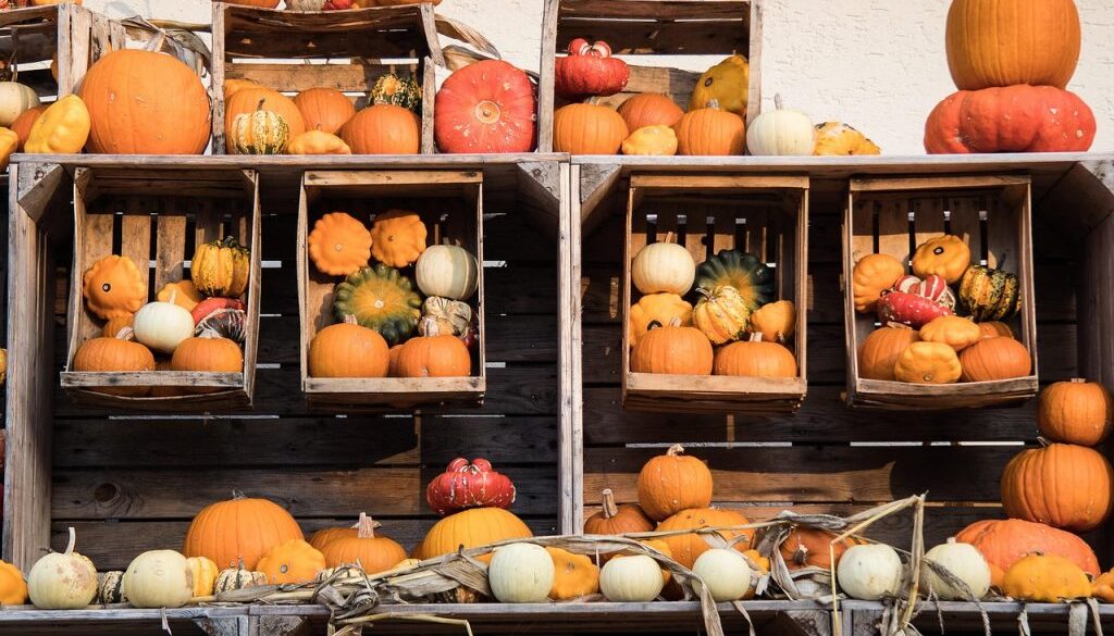 pumpkin-2894480_1280