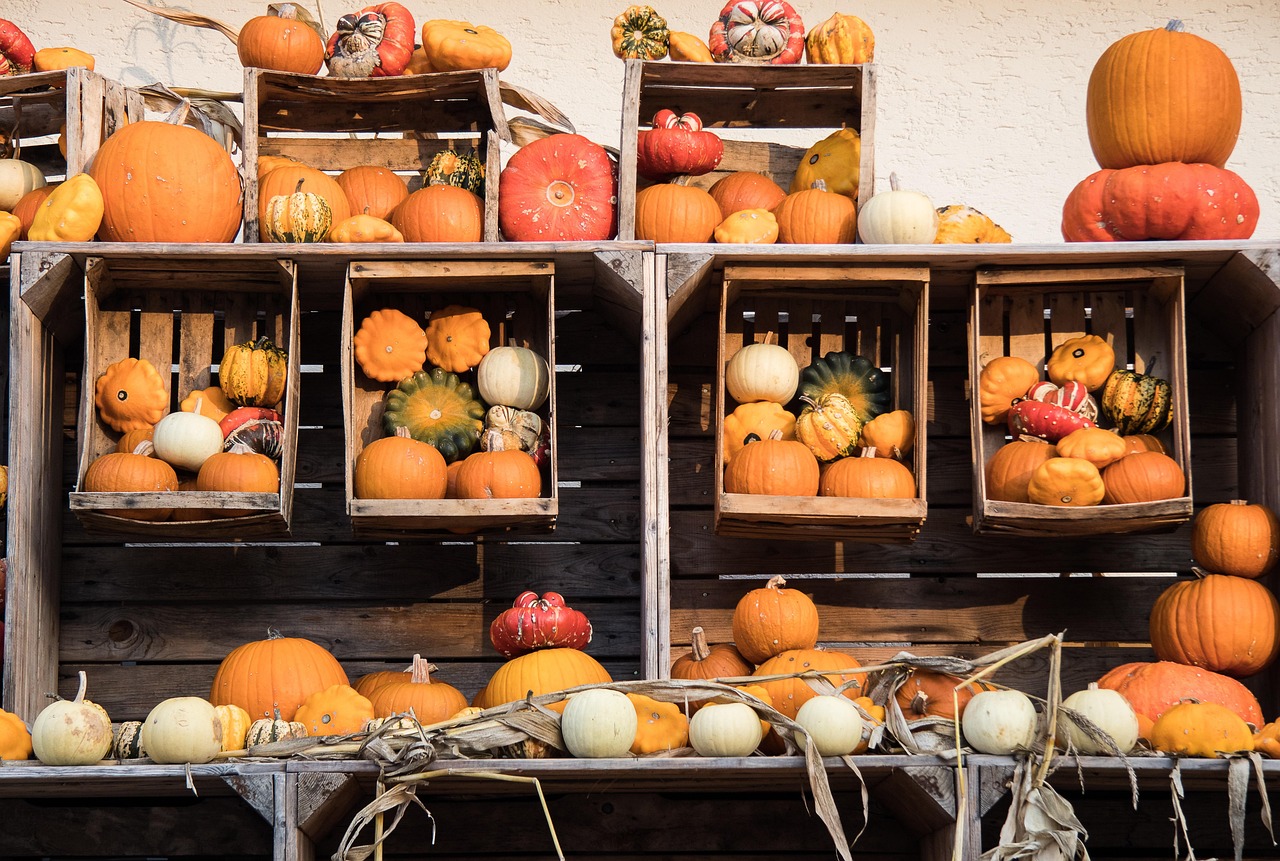Kürbisfestival am Schloss Lichtenwalde